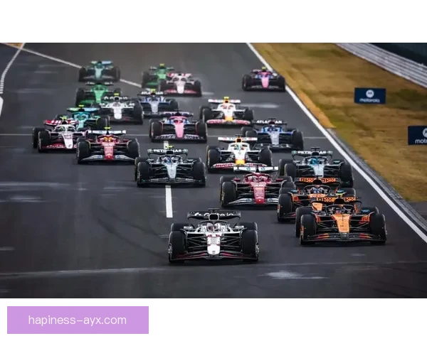 F1赛季最新动态揭秘顶尖车队策略与车手表现变化