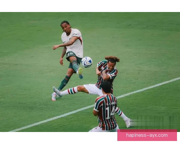 切尔西俱乐部迎来新援强化阵容 引援策略瞄准未来三年发展